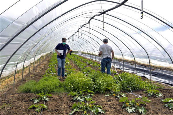 ortoambiente e bitbio
