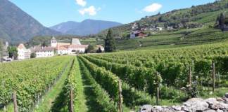 Alto Adige