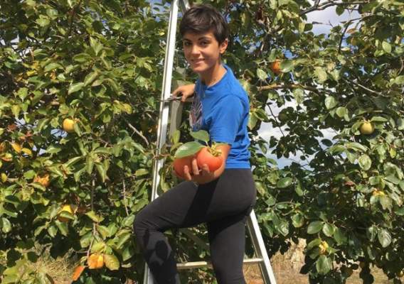 servizio civile agricolo