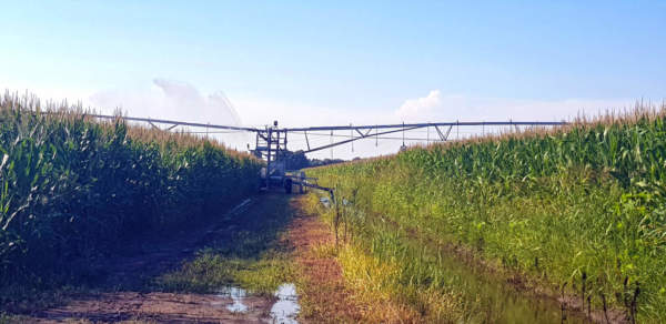 irrigazione digitale