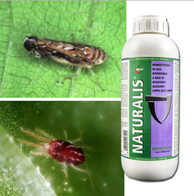 insetticida acaricida naturalis