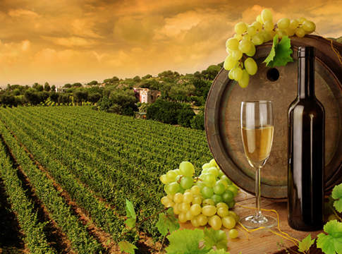 nuove pratiche e trattamenti enologici