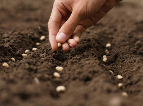 Decreto rilancio convertito in legge