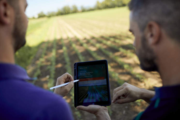 CerealDocks_filiere_sostenibili_controlli copia sostenibilità