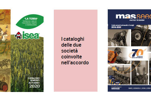 Agroservice-Mas Seeds accordo strategico mas seeds e agriservice accordo