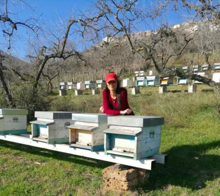 apicoltura