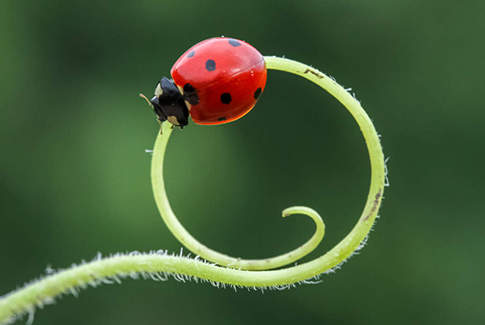 filiera vitivinicola