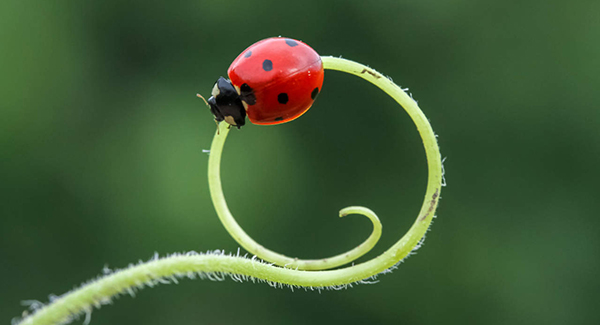 filiera vitivinicola