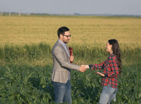 Incendi in Sicilia e Sardegna, 70 milioni per aiutare le imprese agricole incendi