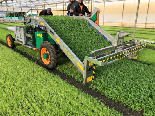 agricoltura 4.0 ortomec