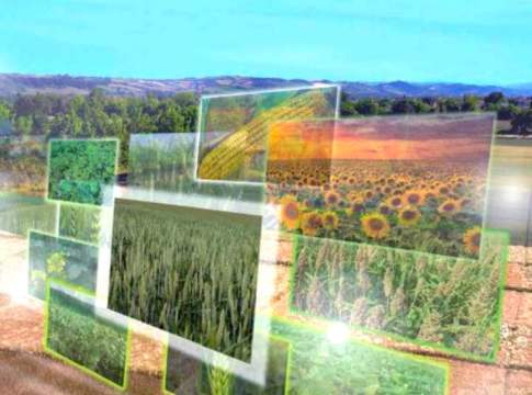 catalogo sementi 2020-21