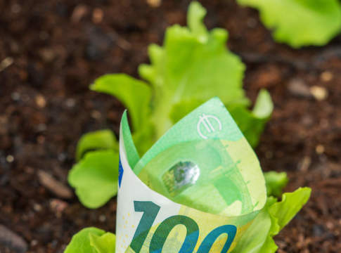 Da Ismea 19,3 milioni per le imprese ortofrutticole