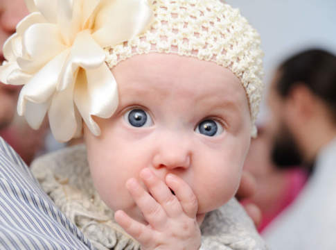 Il battesimo delle varietà resistenti quattro varietà di vite resistente