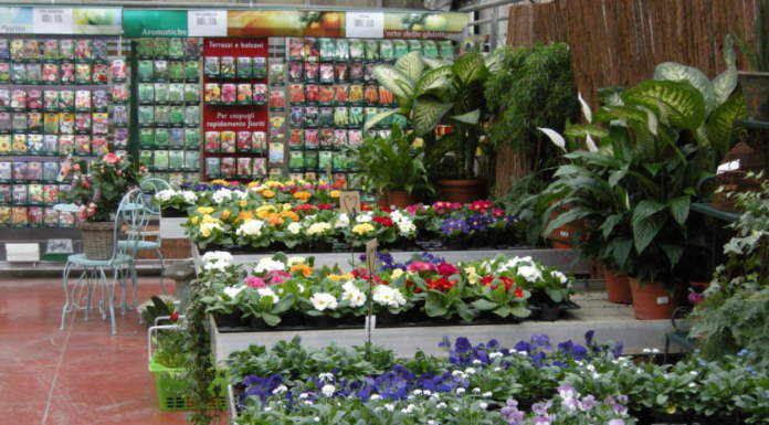 appello del mondo florovivaista