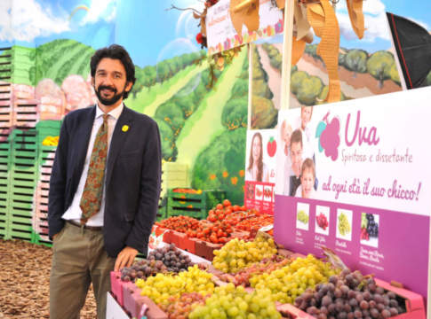 imballaggi in cartone per ortofrutta