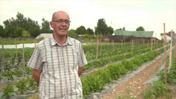 Pacciamatura in Mater-Bi