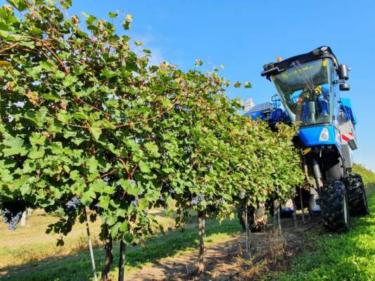 vendemmia meccanica
