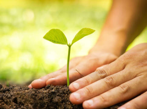 Agricoltura sociale, due progetti che seminano valore