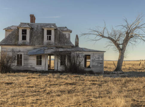 Green Deal, L’Abbate: «Evitare una stretta applicazione che provochi l’abbandono dei campi»