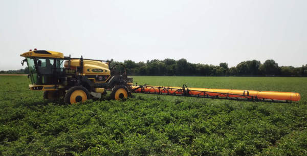 pomodoro da industria