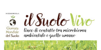 suolo