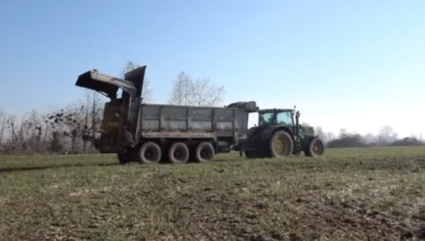 gessi di defecazione