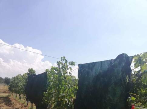 Horta, dalla ricerca ai Dss