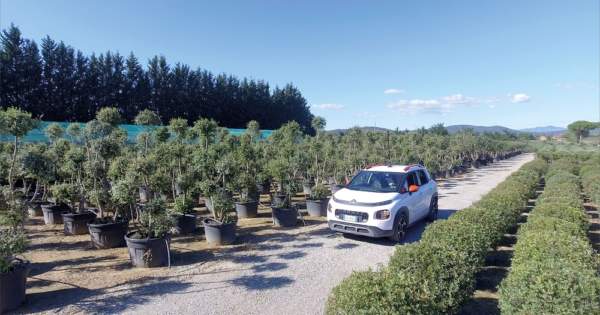 tour virtuale dei vivai