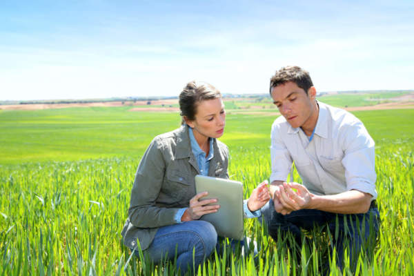 difesa fitosanitaria