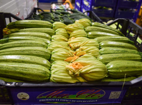zucchine