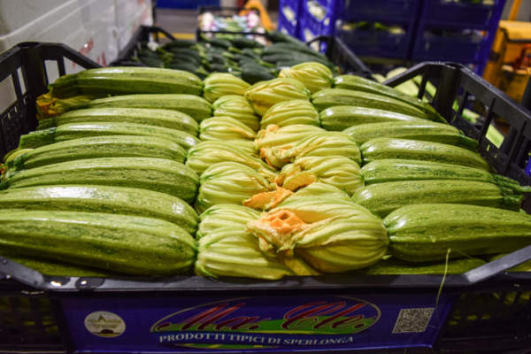 zucchine