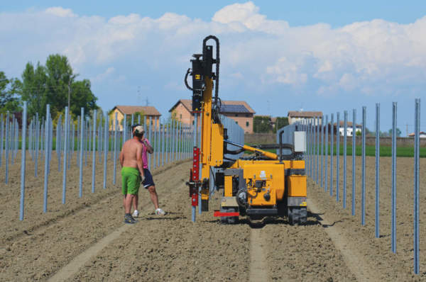 riconversione vigneti