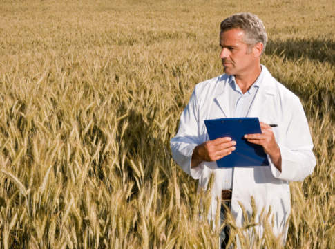 Rotazioni “innovative” per aumentare le rese e ridurre le emissioni rotazioni