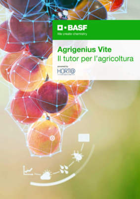agrigenius vite