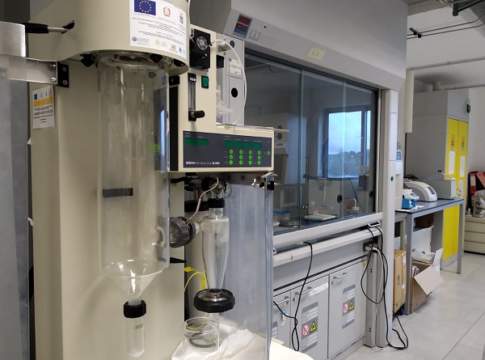 Nanotecnologie e Xylella, nanoparticelle per ridurre la carica batterica