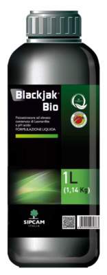 fisioattivatore blackjak bio