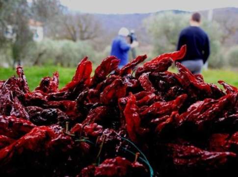 Basilicata, aiuti per i produttori del peperone di Senise peperone di senise