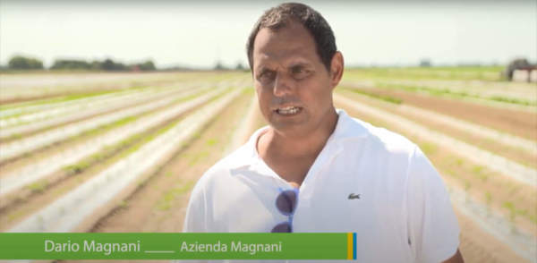 pacciamatura biodegradabile canapa