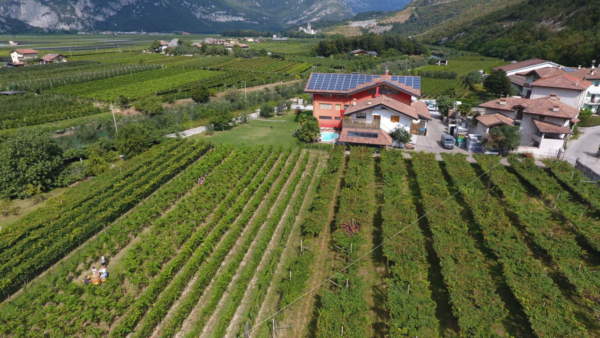 agricoltubra biologica