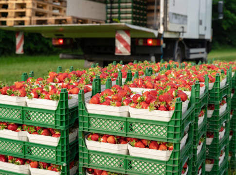 Pratiche sleali, intesa tra aziende agricole e distribuzione per applicare la direttiva Ue pratiche sleali