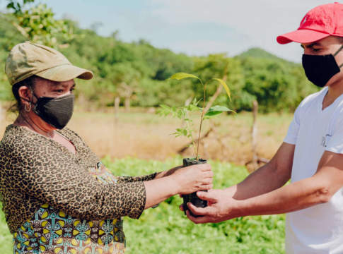Ilsa sostiene gli agricoltori e gli alberi dell’Amazzonia ilsa agricoltori