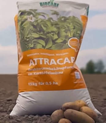 insetticida biologico attracap