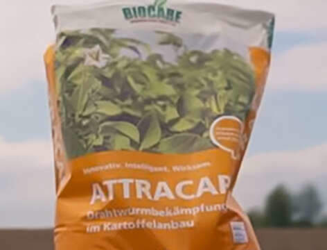 Attracap, protezione contro gli elateridi insetticida biologico attracap