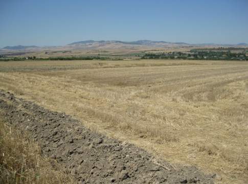 Bruciatura infestanti e stoppie