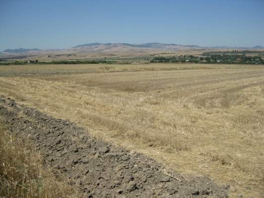 Bruciatura infestanti e stoppie