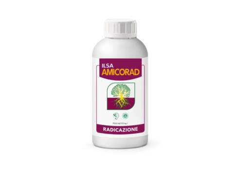 Amicorad, uno stimolo per la radicazione