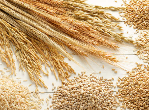 Le tensioni internazionali spingono in forte aumento cereali foraggeri e soia estera