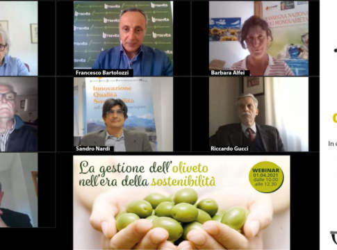 webinar olivicoltura sostenibile