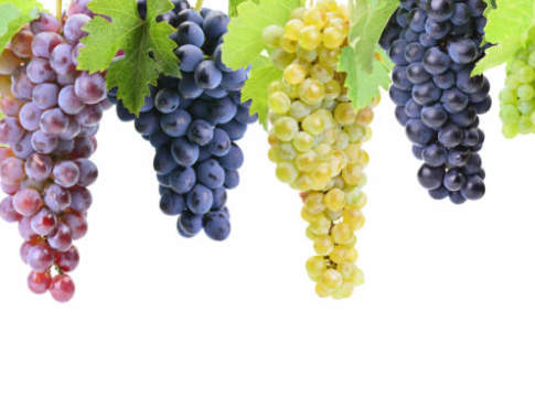 Insospettabili vitigni aborigeni