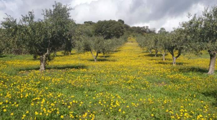biodistretto